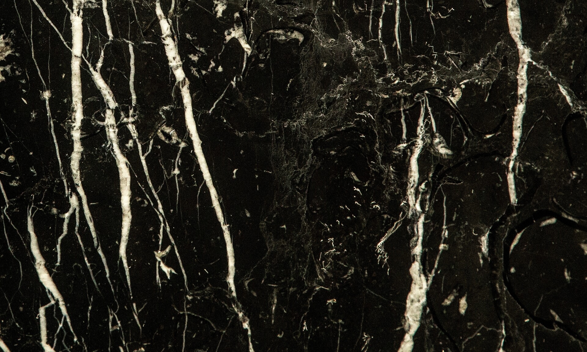 Negro Marquina